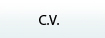 curriculum vitae